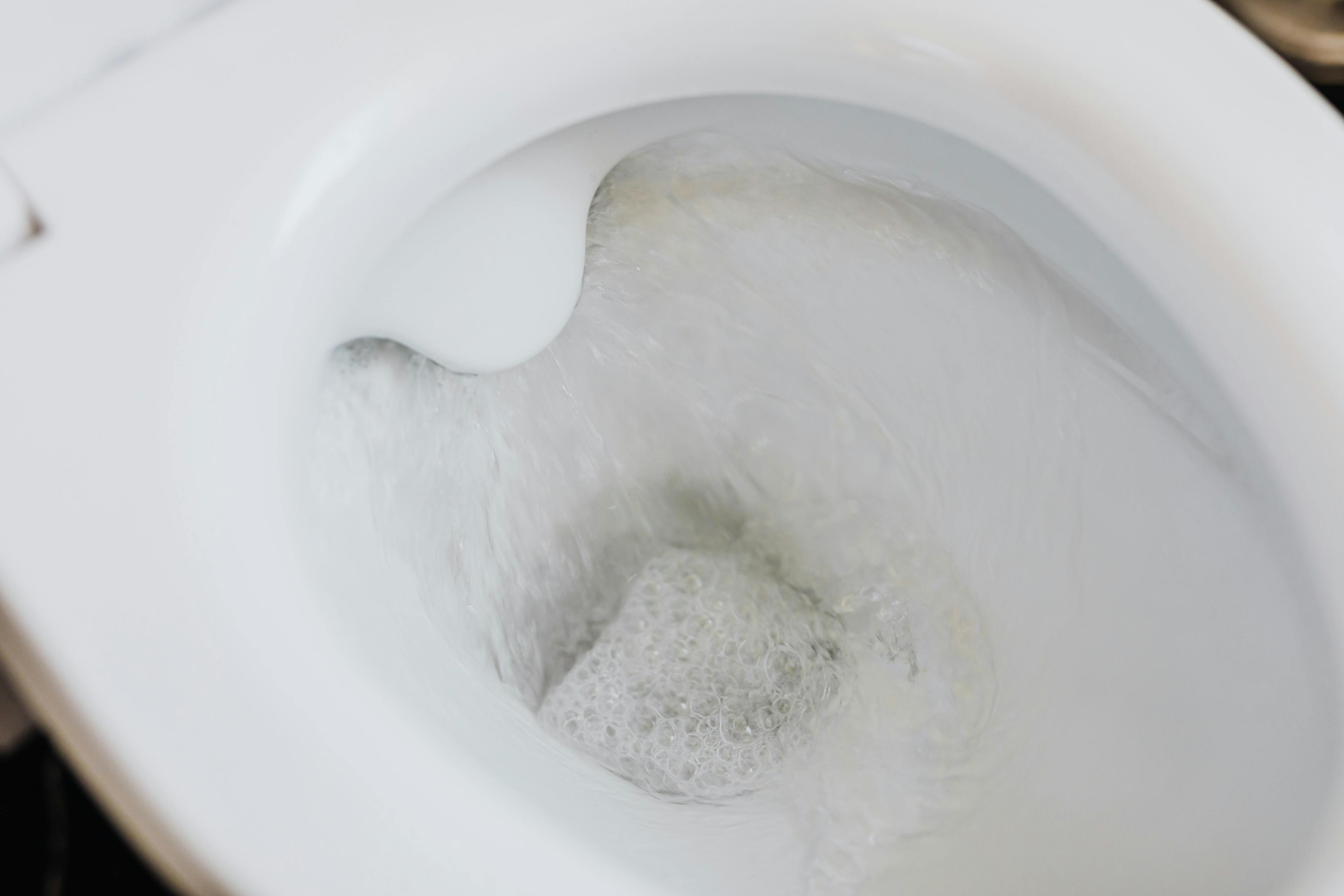 Como Lidar com um Vaso Sanitário Entupido: Soluções e Dicas